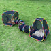 Two cats relaxing in colorful rainbow-trimmed pop-up tent cubes connected by tunnel on grass
