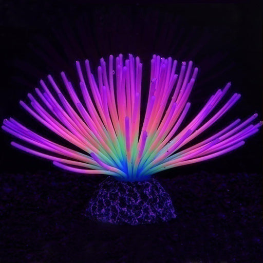 Glowing artificial coral decoration with rainbow LED lighting effects on aquarium base