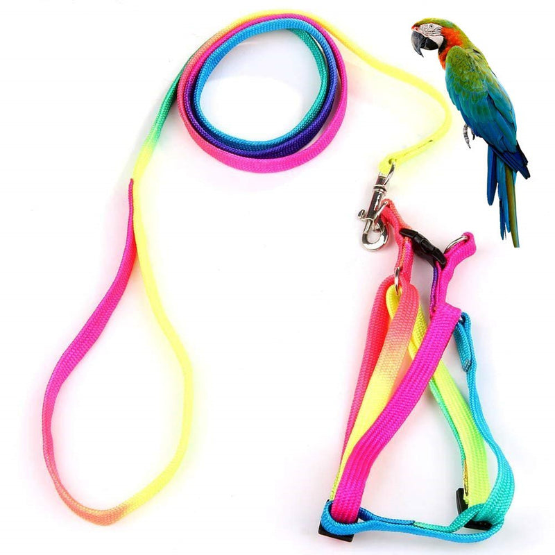 Colorful rainbow bird harness and leash laid flat with adjustable straps and metal clasp