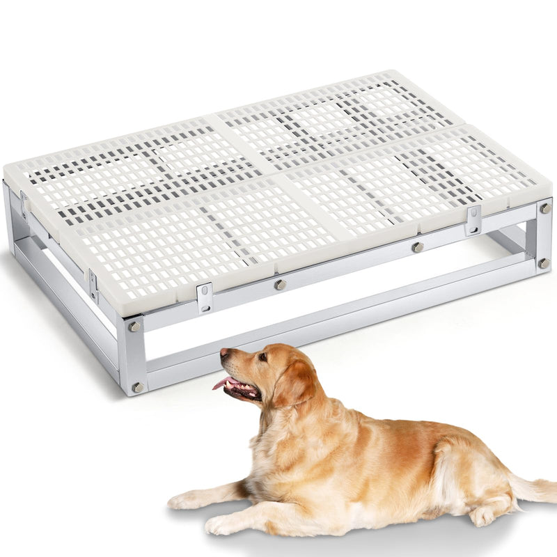 White grid raised dog bath rack with metal frame beside a golden retriever lying down