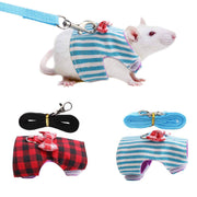 White rat in striped harness with two harness sets and leashes displayed below in plaid and striped