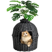 Orange and white kitten sitting inside black woven rattan cat hideaway with monstera plant on top