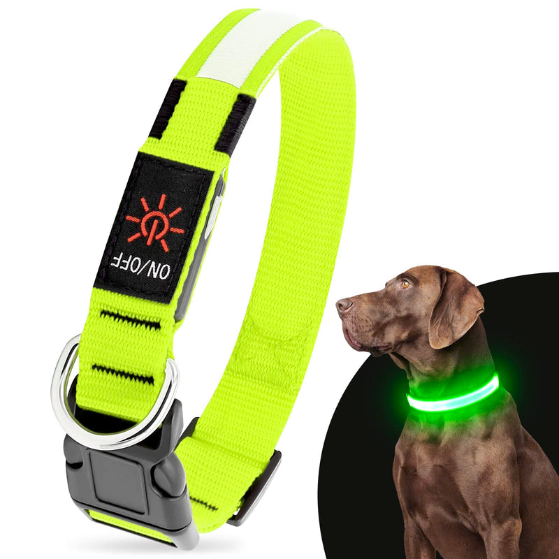 Bright green LED dog collar with reflective stripe and on/off switch next to brown dog