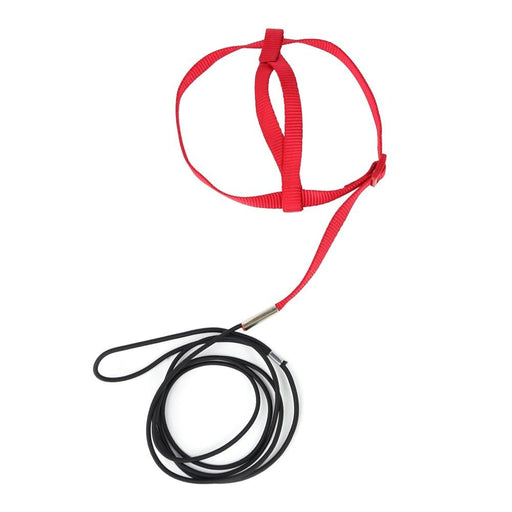 Red adjustable bird harness with black leash attached, shown against white background
