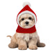 Small fluffy puppy wearing red and white knitted Christmas hat with white pom pom sitting front view