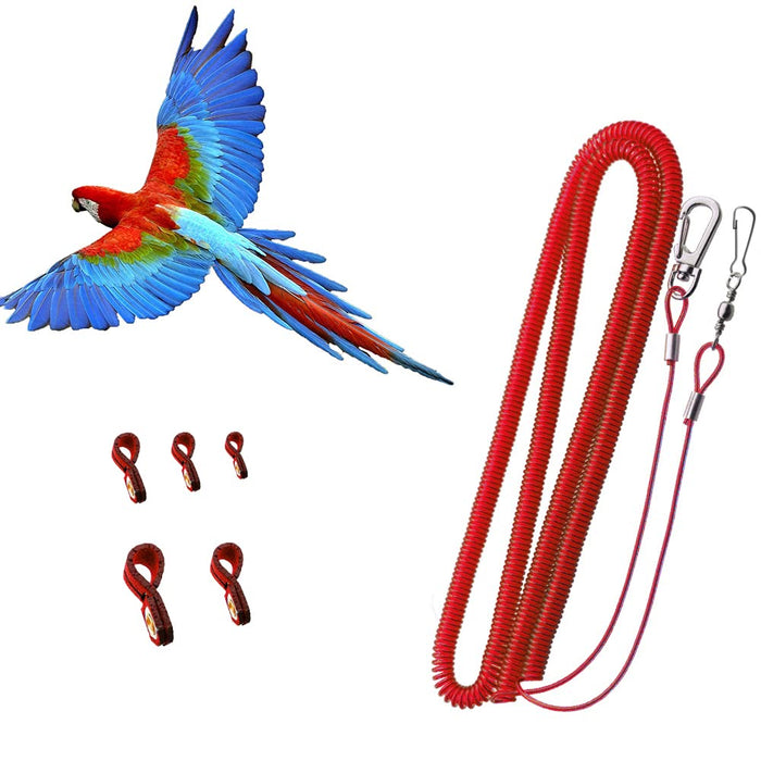 Red spiral coiled bird harness with metal clips and small red leg bands next to colorful parrot