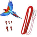 Red spiral coiled bird harness with metal clips and small red leg bands next to colorful parrot