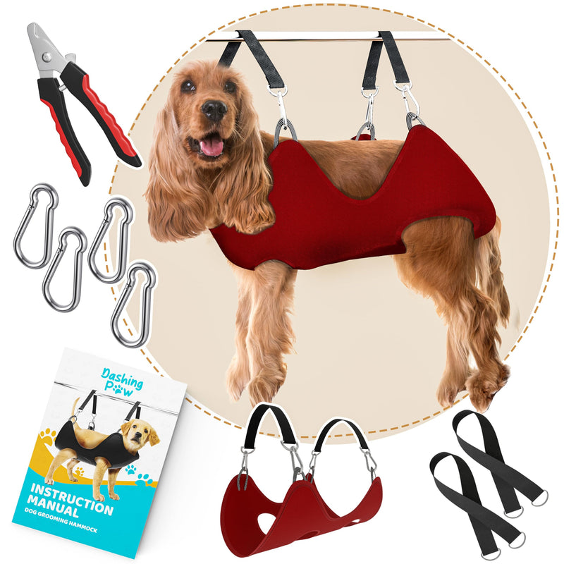 Golden cocker spaniel in red grooming hammock with black straps, nail clippers and accessories