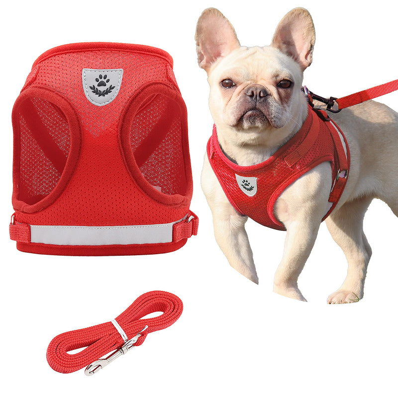 Red mesh dog harness with matching leash shown separately and worn by cream French Bulldog