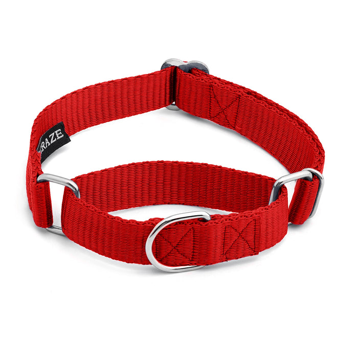 Red martingale dog collar with silver hardware and black RAZE label on white background