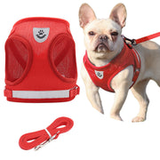Red mesh dog harness with reflective strip shown on French Bulldog and displayed separately with