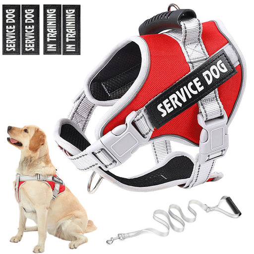Red and white service dog harness with black SERVICE DOG patch, handle, and gray straps on white