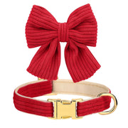 Red corduroy dog collar with detachable bow tie and gold buckle on white background