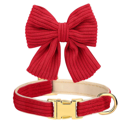 Red corduroy dog collar with detachable bow tie and gold buckle on white background