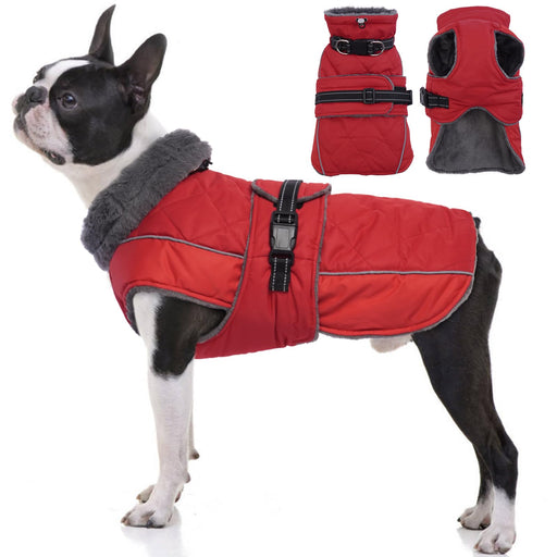 Red waterproof winter dog coat with reflective trim on Boston Terrier, showing front and back views