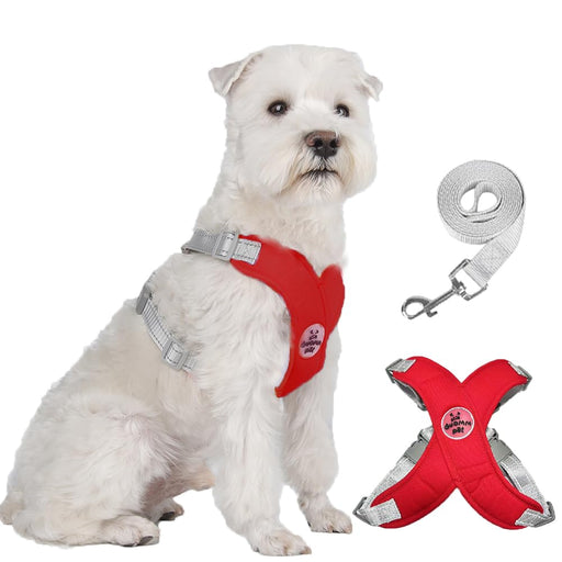 White fluffy dog wearing red X-frame harness with matching gray reflective leash displayed