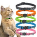 Tabby cat wearing green collar next to 5 colorful reflective breakaway cat collars with bells