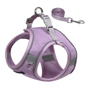 Reflective No-Pull Dog Harness Set