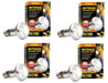 Four identical 75W reptile basking spot bulbs with Exo Terra packaging showing bearded dragon