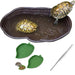 Large brown reptile pool with two turtles, green feeding dishes and metal tweezers below