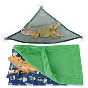 Green iguana on triangular mesh hammock above bearded dragon wrapped in blue and green blanket