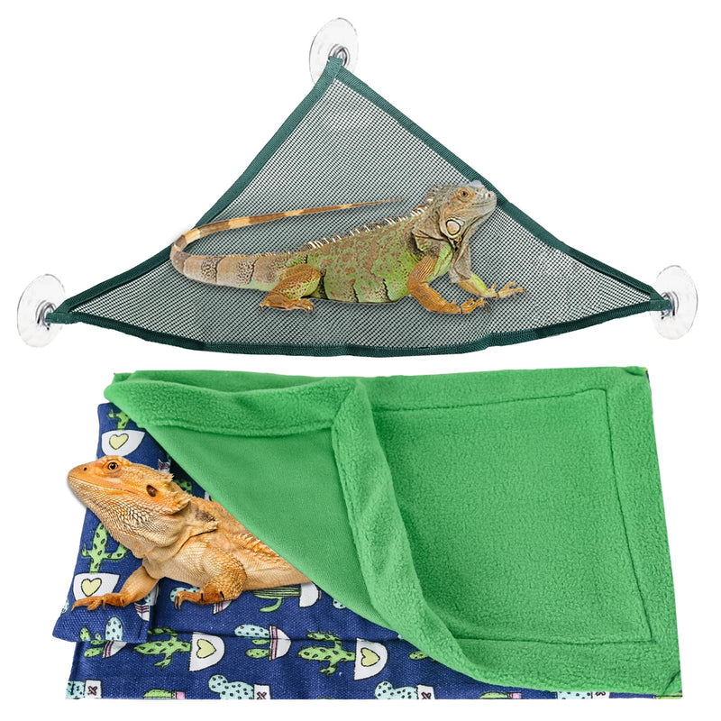 Green iguana on triangular mesh hammock above bearded dragon wrapped in blue and green blanket