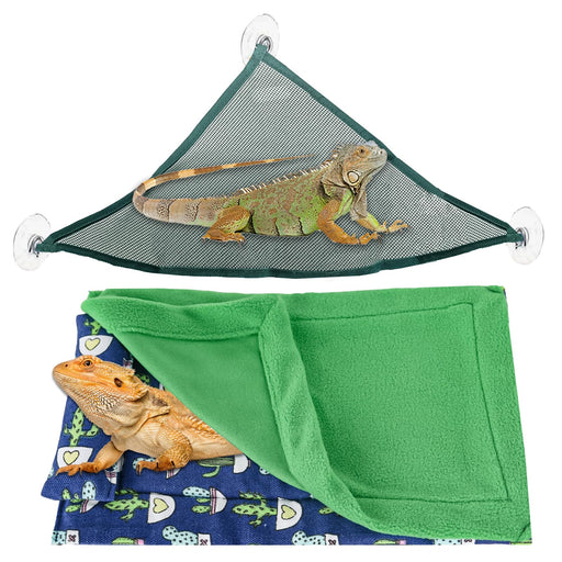 Green iguana on triangular mesh hammock with bearded dragon on blue patterned blanket below