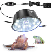 Professional LED reptile light with controller and power adapter, bearded dragon and frog below