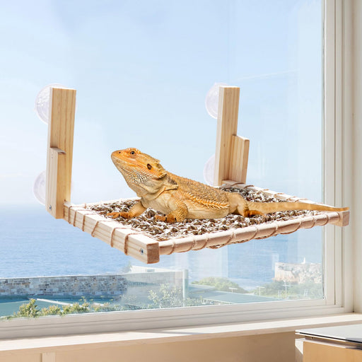 Bearded dragon relaxing on wooden window perch with seagrass mat overlooking ocean view