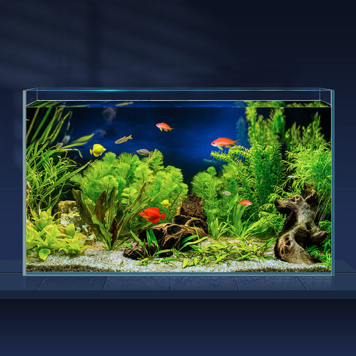 Ultra clear rimless glass aquarium with colorful tropical fish swimming among lush green plants