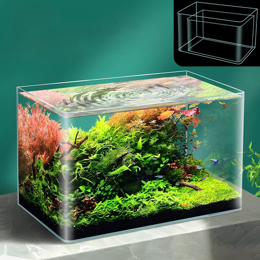 Clear rimless glass nano aquarium filled with lush aquatic plants and colorful fish