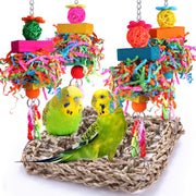 Two green budgerigars in woven seagrass hammock with colorful hanging foraging toys above