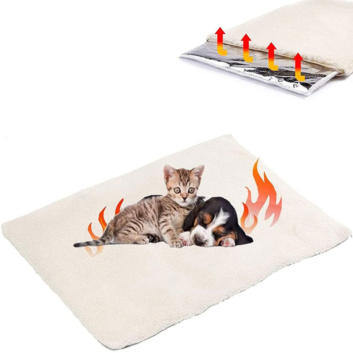 Tabby kitten and sleeping puppy on cream self-warming pet pad with orange flame graphics