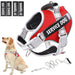 Red service dog harness with reflective straps, handle, and matching leash on white background