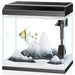 Clear 7-gallon fish tank with black hood, filter, heater, white sand and decorative rocks setup