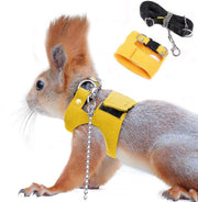 Red squirrel wearing yellow harness with chain leash and product components shown separately