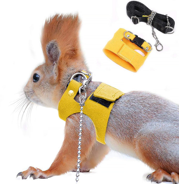 Red squirrel wearing yellow harness with chain leash and product components shown separately