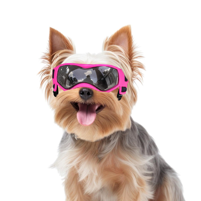 Small Breed Dog UV Protection Goggles