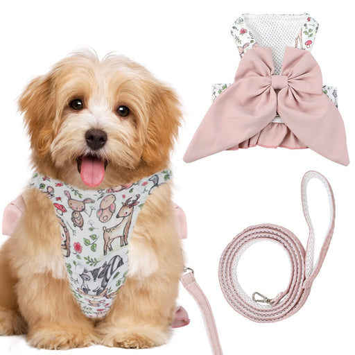 Small dog wearing floral harness with pink bow, showing harness and matching leash components