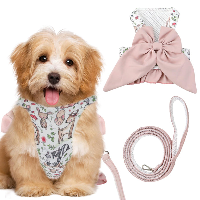 Small dog wearing floral harness with pink bow, showing harness and matching leash components