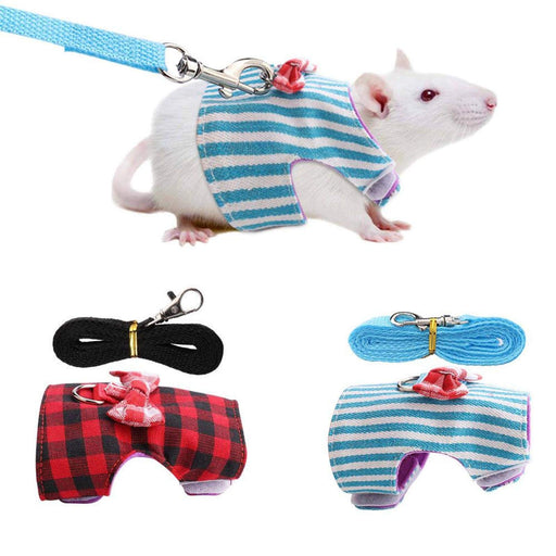 White rat wearing blue striped harness with red bow and matching blue leash on white background