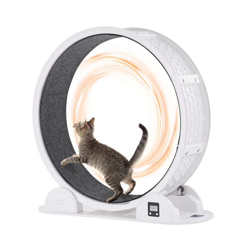 Tabby cat running inside white smart cat exercise wheel with glowing amber light
