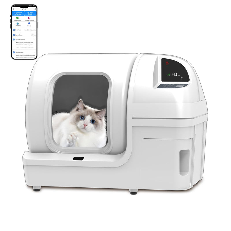 White smart litter box with blue-eyed ragdoll cat inside and smartphone app control interface