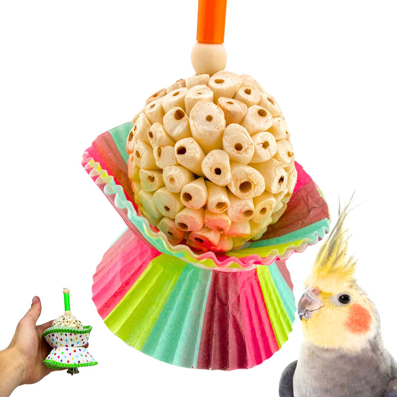 Colorful sola root cake bird toy with cupcake wrappers and cockatiel nearby on white background