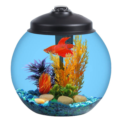 Spherical LED aquarium with red betta fish swimming among colorful artificial plants and gravel