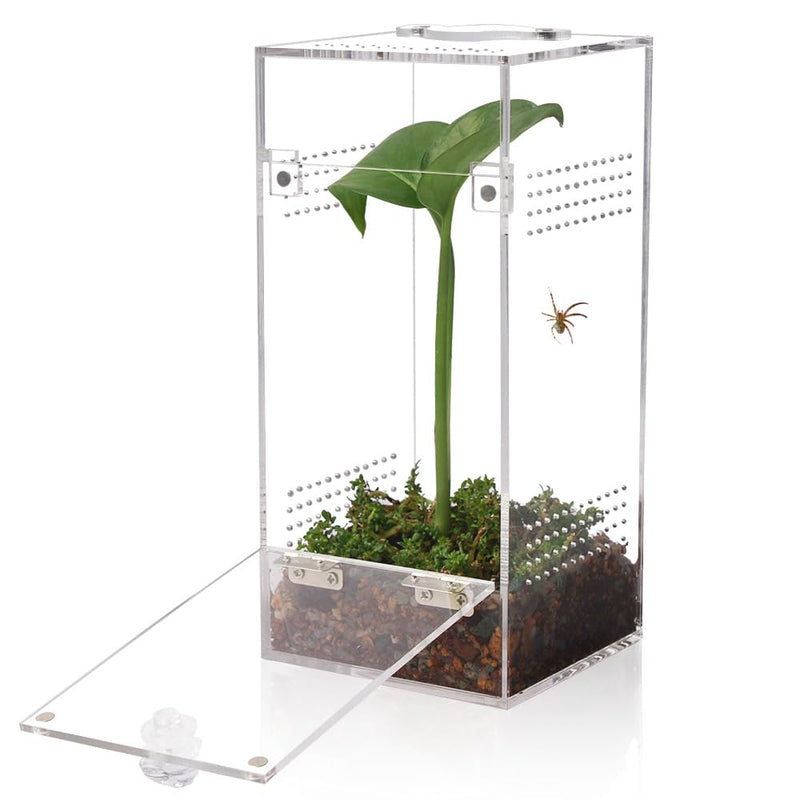 Clear acrylic terrarium with ventilation holes, green plant, spider inside, and open front door