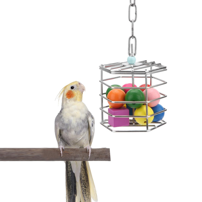 Cockatiel perched beside stainless steel foraging feeder filled with colorful balls and toys