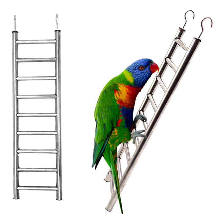 Colorful rainbow lorikeet perched on stainless steel bird ladder with straight vertical ladder