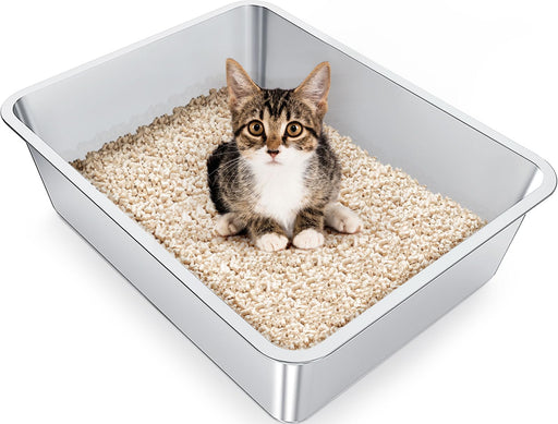 Tabby kitten sitting in stainless steel litter box filled with beige wood pellet litter
