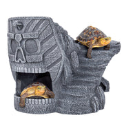 Gray stone Egyptian pharaoh skull cave with two small turtles positioned on top and inside